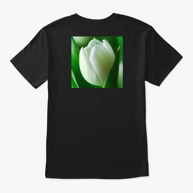 White Tulip